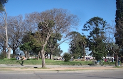 Venta de negocios en La Teja en Montevideo