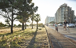 Negocios y locales en Malvín en Montevideo