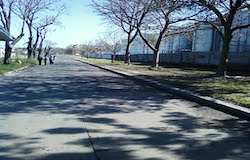 Negocios y locales en Paso de la Arena en Montevideo